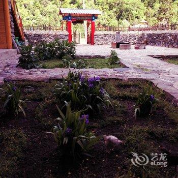 雨崩村雪龙客栈酒店提供图片