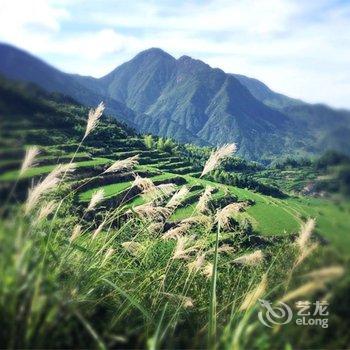 云和梯田风隐客栈酒店提供图片