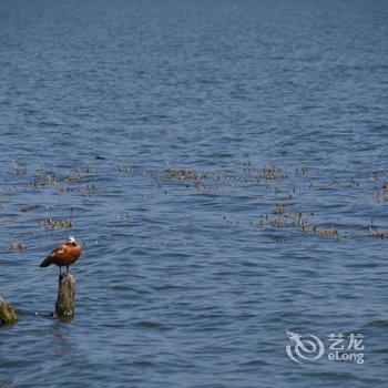 大理停云海景度假酒店酒店提供图片