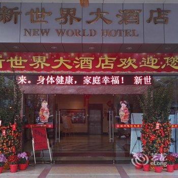 开平新世界大酒店(江门)酒店提供图片