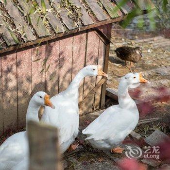 十七房名宿-如月酒店提供图片