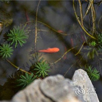 大理石舍花园客栈酒店提供图片