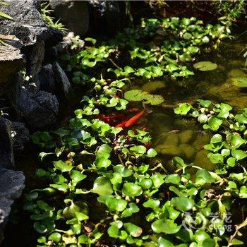 大理石舍花园客栈酒店提供图片