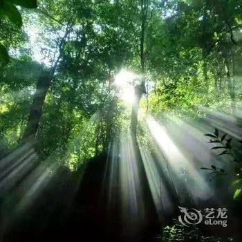 茂兰山水依缘农家乐酒店提供图片