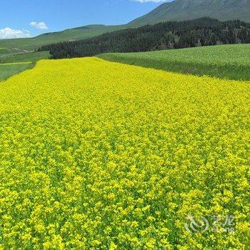 祁连家庭青年旅馆酒店提供图片