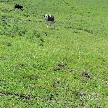 祁连家庭青年旅馆酒店提供图片