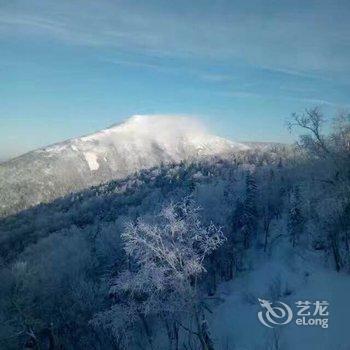 雪乡二浪河服务中心大酒店酒店提供图片