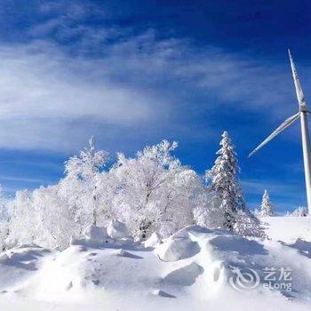 雪乡二浪河服务中心大酒店酒店提供图片