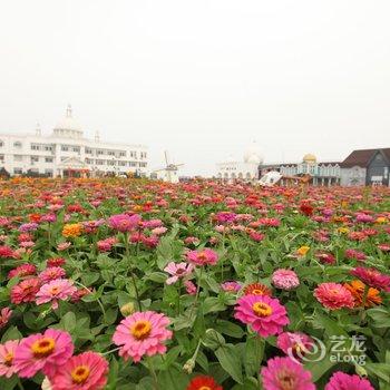 烟台莱州维多利亚海景花园酒店酒店提供图片