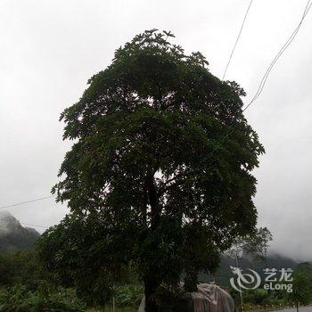 大新明仕山水间农家乐酒店提供图片