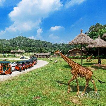 广州木西民宿·番禺城市花园完美假期轻奢三居房酒店提供图片