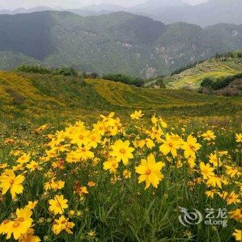 永泰云顶云仙居客栈酒店提供图片