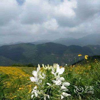 永泰云顶云仙居客栈酒店提供图片