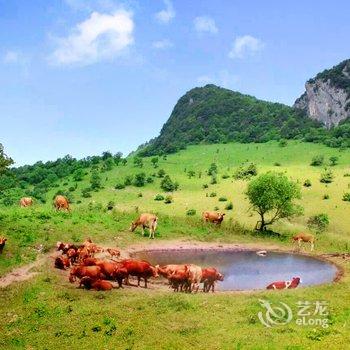 陇南云屏三峡草甸人家客栈酒店提供图片