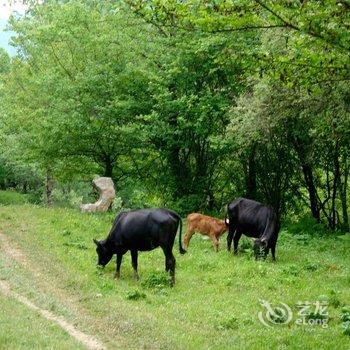 陇南云屏三峡草甸人家客栈酒店提供图片