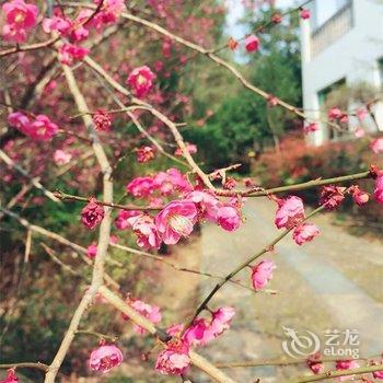 浮梁景瑶沁园居酒店酒店提供图片