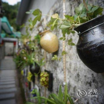 珠海绿岛客栈酒店提供图片