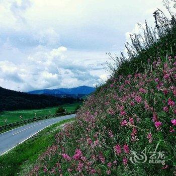 阿勒泰阿克大学生小木屋客栈酒店提供图片