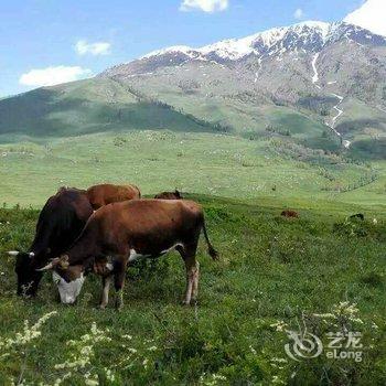 阿勒泰阿克大学生小木屋客栈酒店提供图片