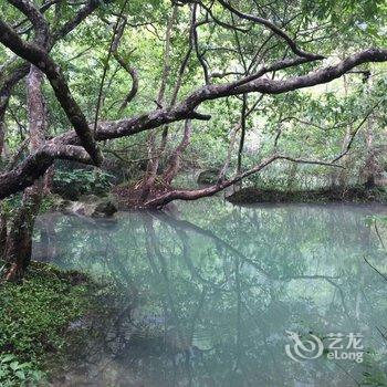 大新明仕红军桥头农家酒店提供图片