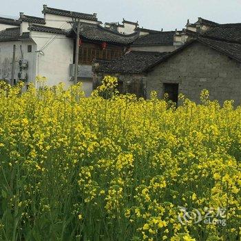 黟县碧山周家园农家乐酒店提供图片