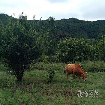 泸沽湖湿地花楼客栈酒店提供图片