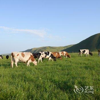 鄂温克族私家天然牧场蒙古包酒店提供图片