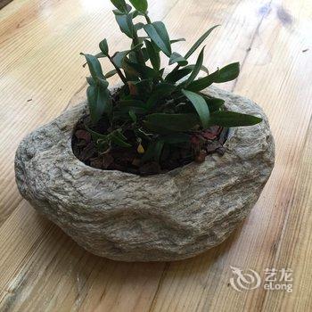 霍山别山雅苑度假农庄酒店提供图片