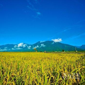 台东日晖国际渡假村酒店提供图片