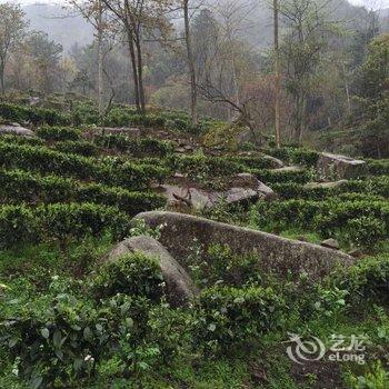 郴州莽山茶王谷生态酒店酒店提供图片