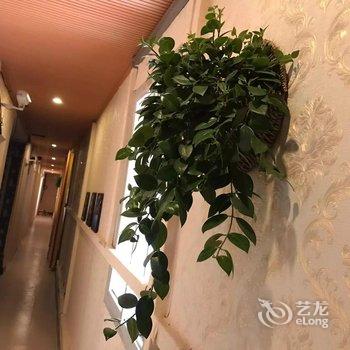 新乡那年花开主题客房酒店提供图片