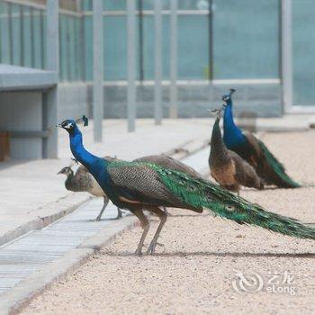 天津滨海一号酒店酒店提供图片