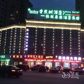 青皮树六安金寨县桂花公园酒店酒店提供图片