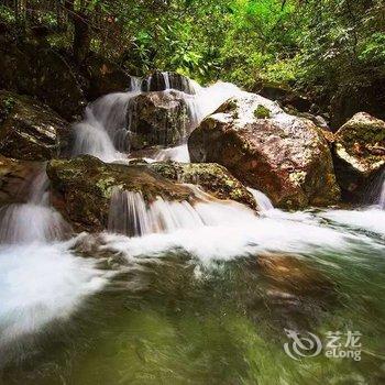 松阳李坑山村人家民宿酒店提供图片