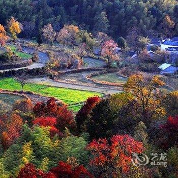 宏村沁春茗苑精品客栈酒店提供图片