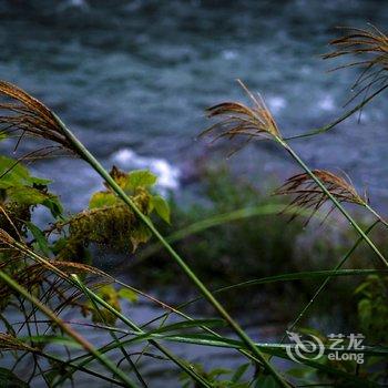 莫干山富鸿山居酒店提供图片