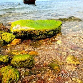 澄江湖影客栈酒店提供图片