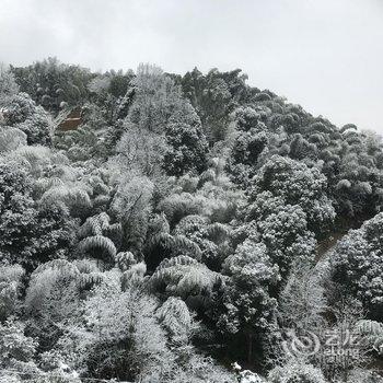 浏阳麒麟山庄酒店提供图片