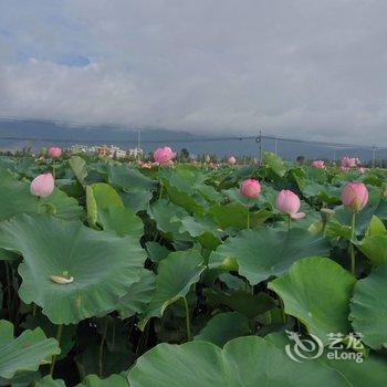 澄江县雅园宾馆酒店提供图片