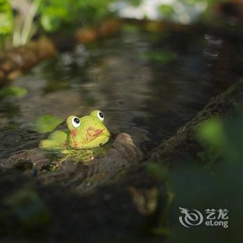 缙云仙都摄影主题客栈酒店提供图片