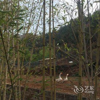 昆明东川红土地山居酒店酒店提供图片