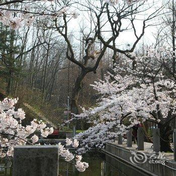 信阳鸡公山山湾大酒店酒店提供图片