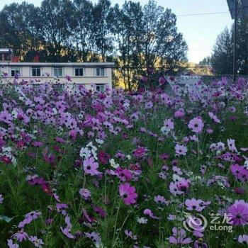 新都桥山间桐花里客栈酒店提供图片