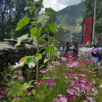 新都桥山间桐花里客栈酒店提供图片