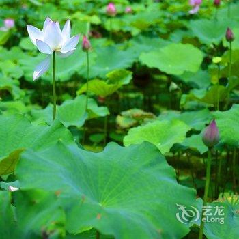 乐山沐府休闲度假山庄酒店提供图片