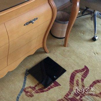 维纳斯国际酒店(上海国际旅游度假区野生动物园店)酒店提供图片