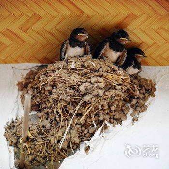 敦煌甘家大院客栈(莫高窟店)酒店提供图片