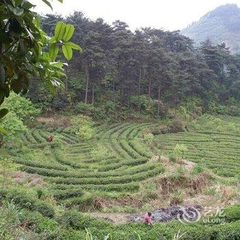 衡阳南岳山香缘农庄酒店提供图片