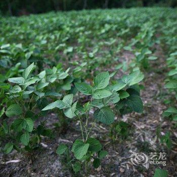 莫干山梦溪彼潭酒店提供图片