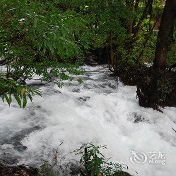 迪庆达摩酒店(其宗店)酒店提供图片